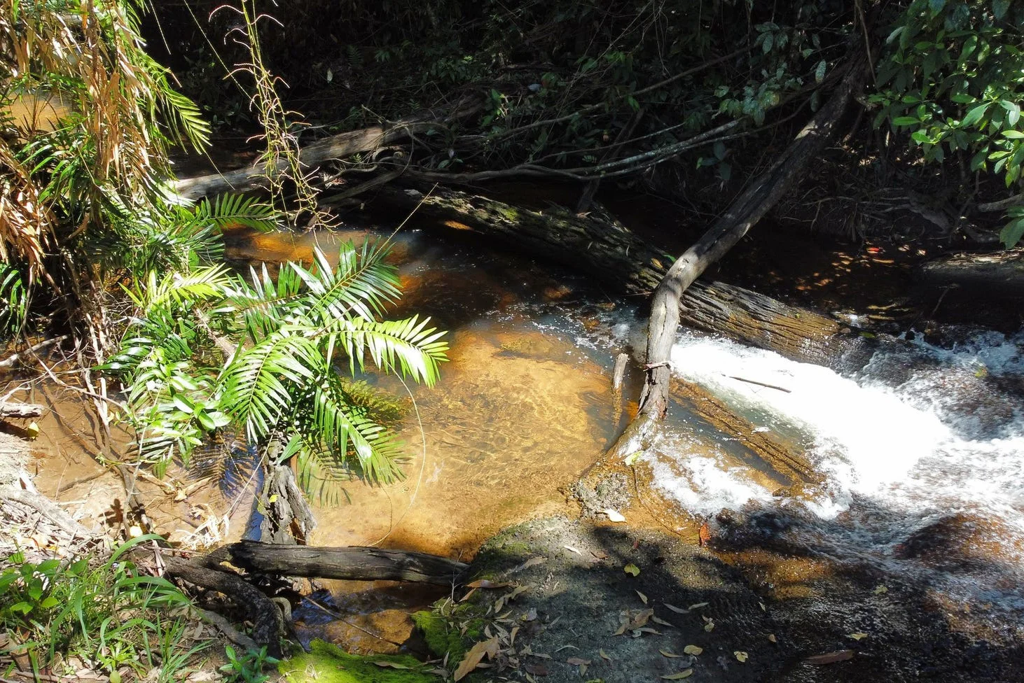 Additional image 26 of 281 Dingo Pocket Rd, Dingo Pocket QLD 4854