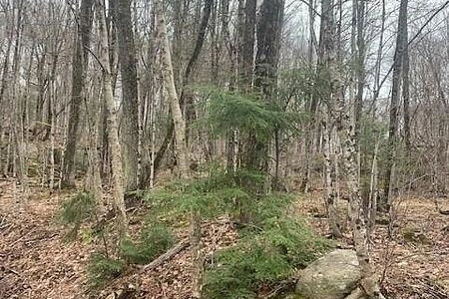 Additional image 5 of 1154 Delia Road