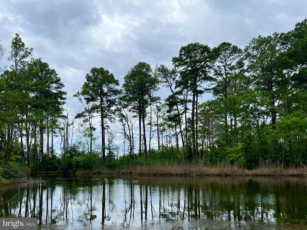 Additional image 52 of 38057 Pine Needle Lane, Frankford, DE 19945