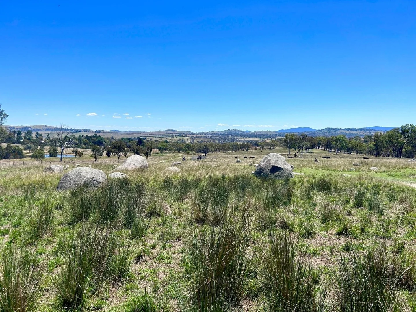Lot 322 Jenkyn Lane, Uralla NSW 2358
