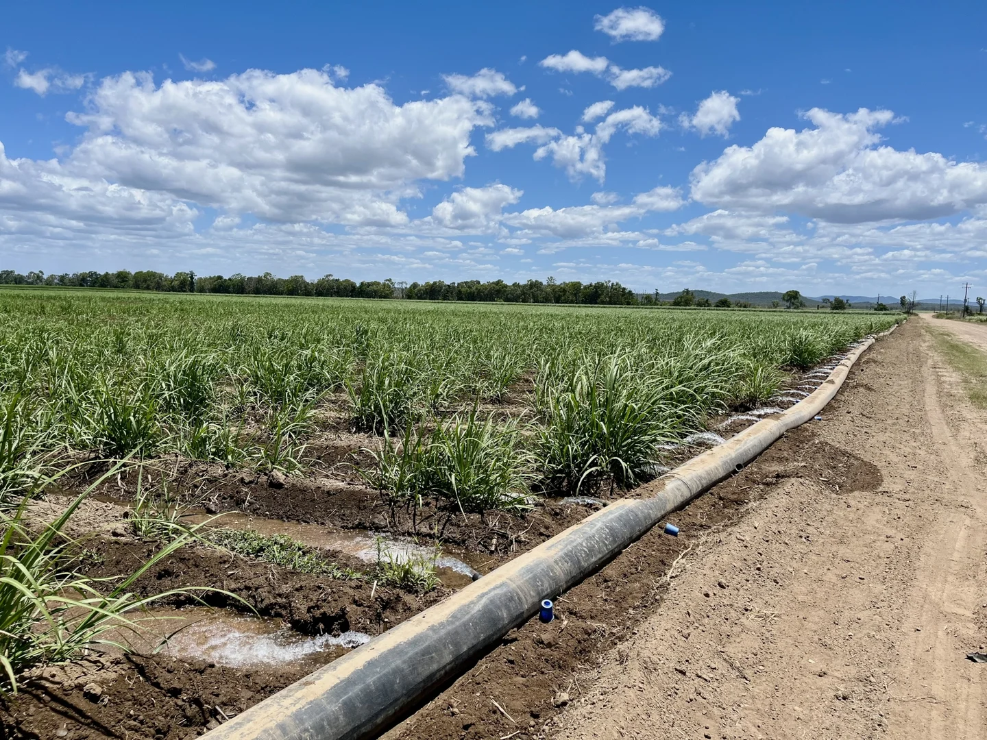 Additional image 13 of 218 Oats Road, Fredericksfield QLD 4806