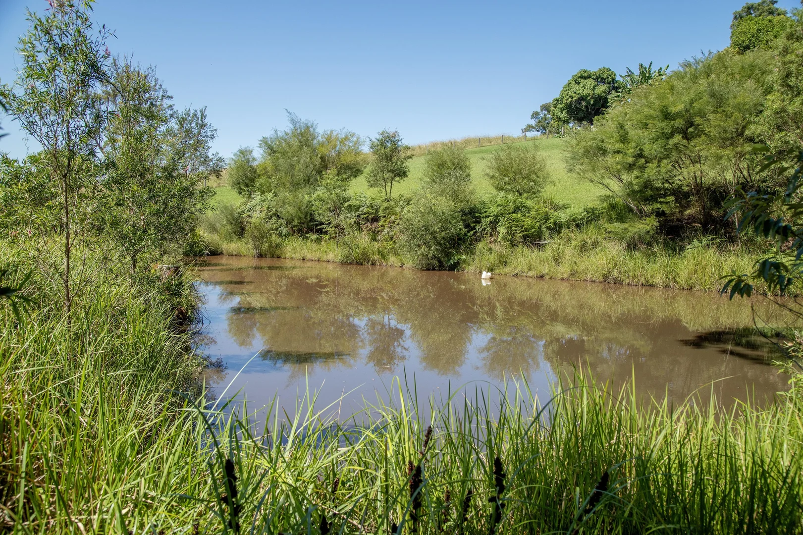 Additional image 32 of 1694 Comboyne Road, Killabakh NSW 2429