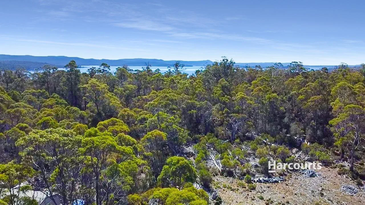 Additional image 7 of 711 Arthurs Lake Road, Arthurs Lake TAS 7030