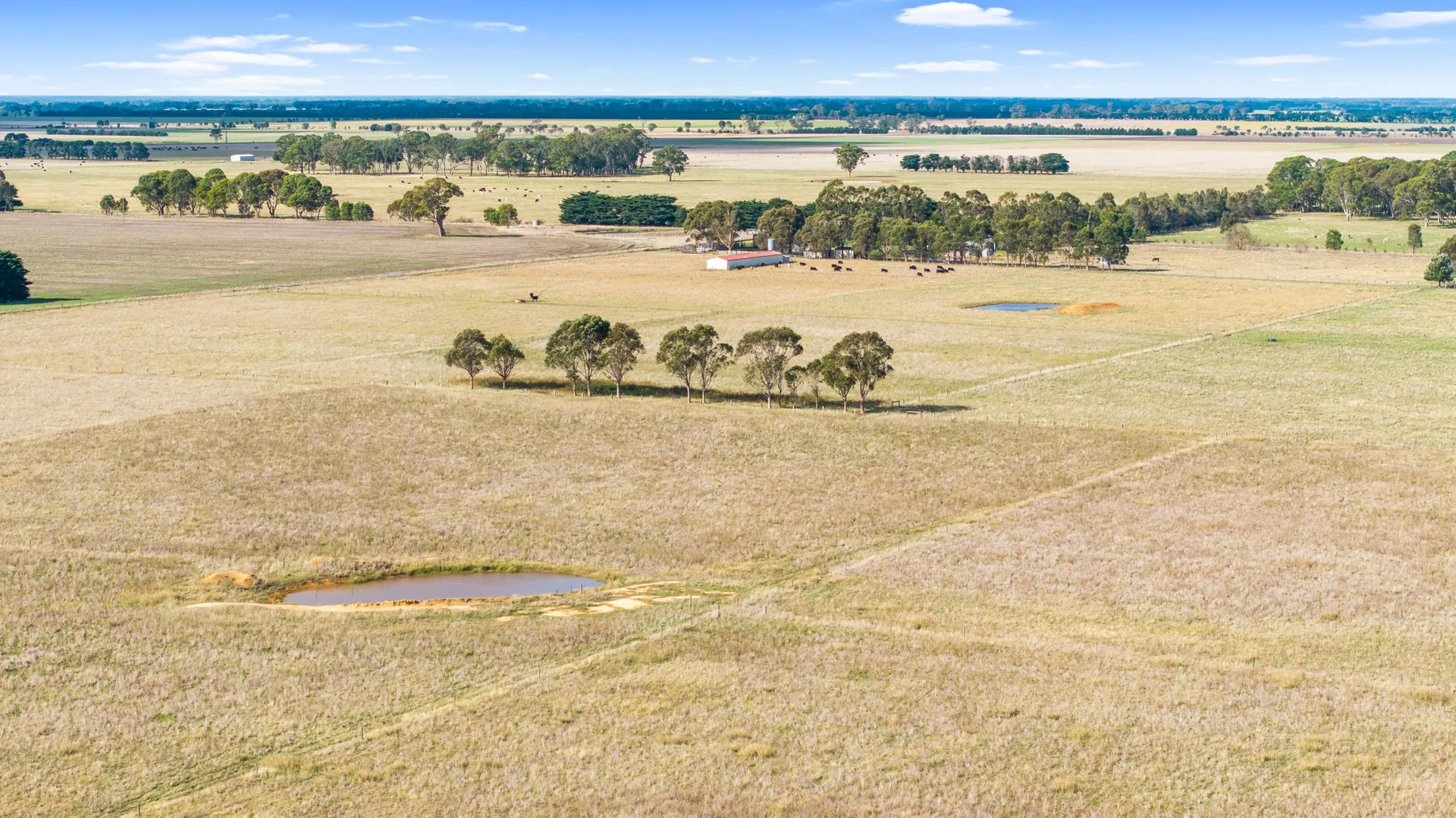 Additional image 7 of Toongabbie VIC 3856