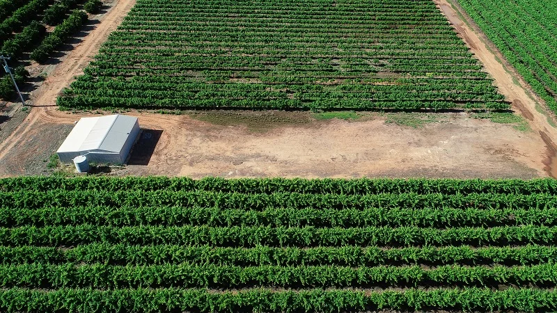 Additional image 2 of Lot 514 Vasey Road, Waikerie SA 5330