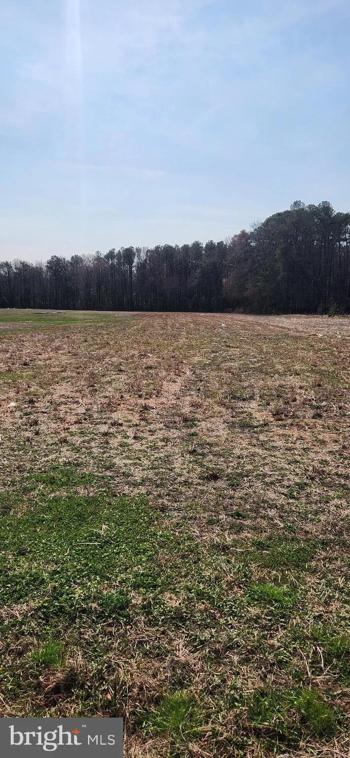 Additional image 8 of Lot 1 Pepperbox Road, Laurel, DE 19956