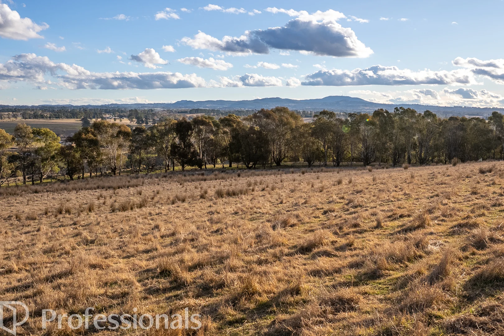 Additional image 25 of 174 Emu Swamp Road, Orange NSW 2800