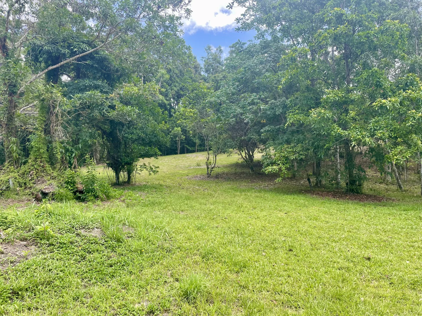 Additional image 7 of 2869 Mossman Daintree Road, Lower Daintree, Daintree QLD 4873