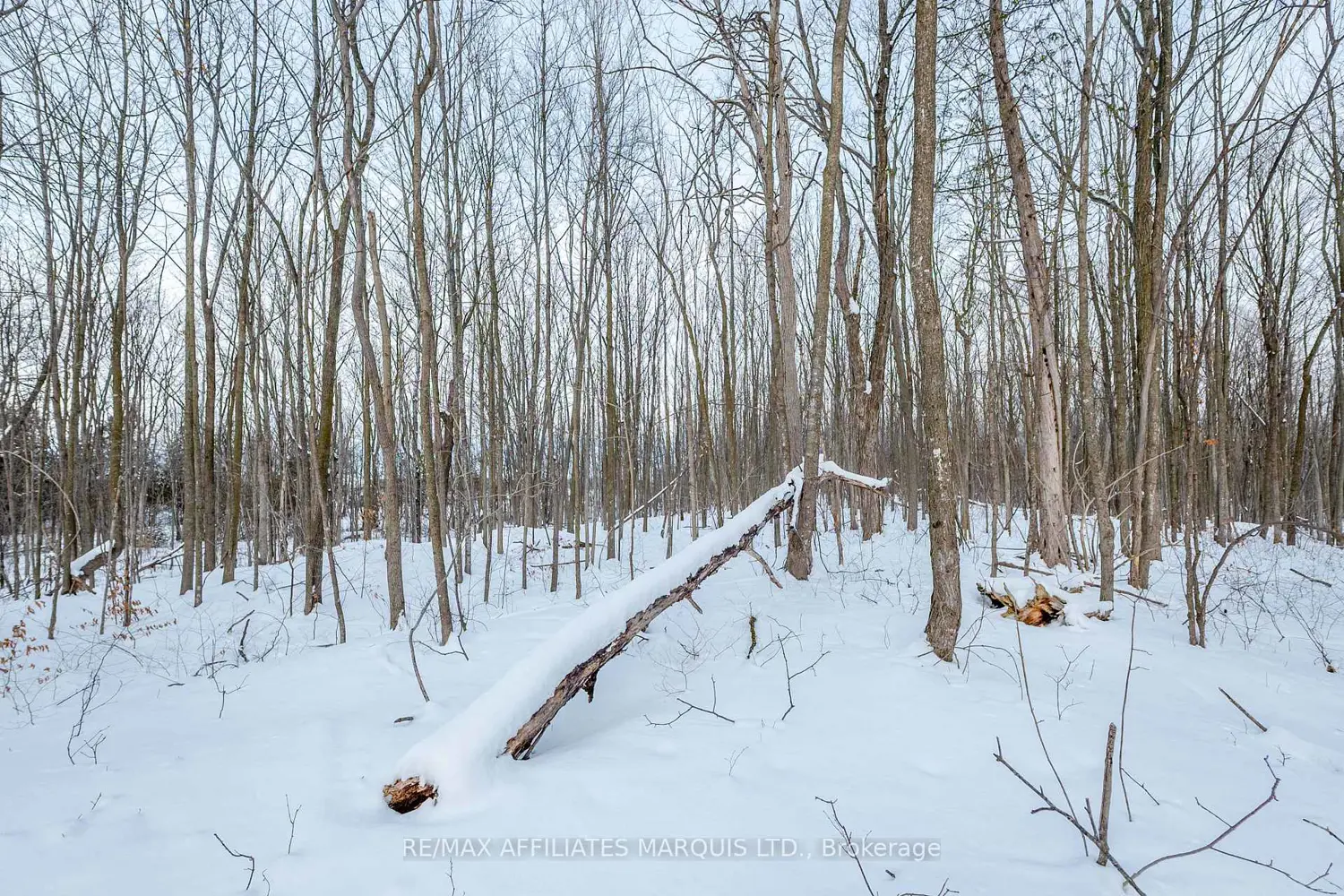 Additional image 11 of Lot Concession 10 Road