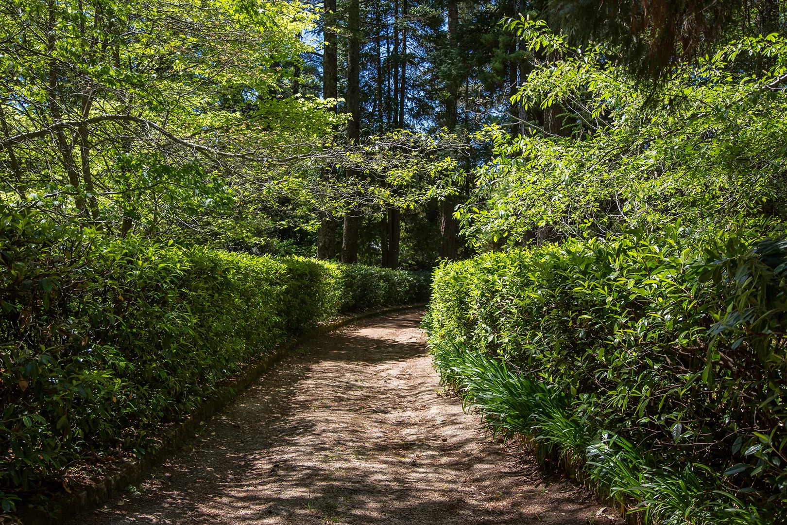 Additional image 19 of 43-69 Balmoral Road, Leura NSW 2780