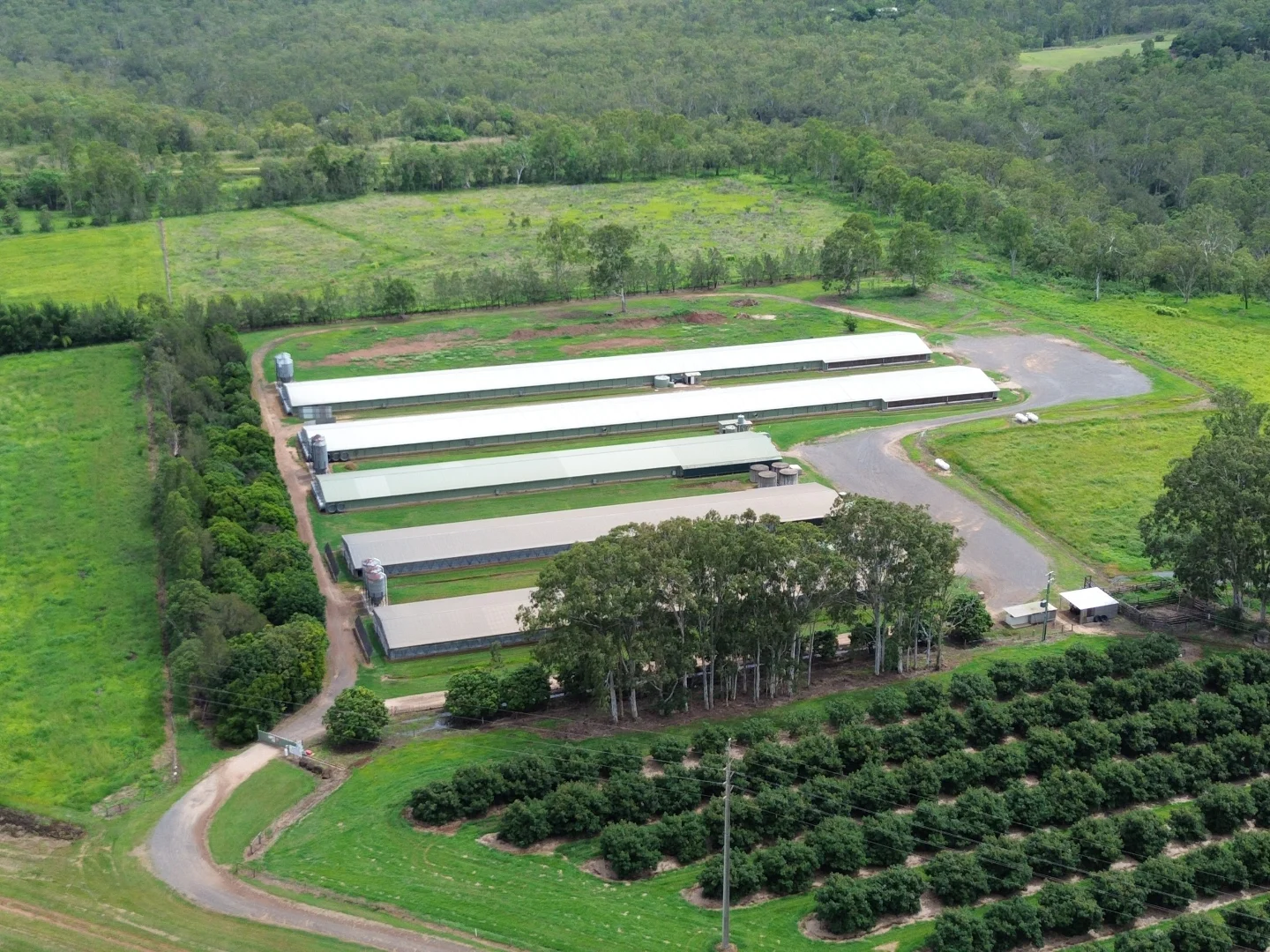 Additional image 26 of Tolga QLD 4882