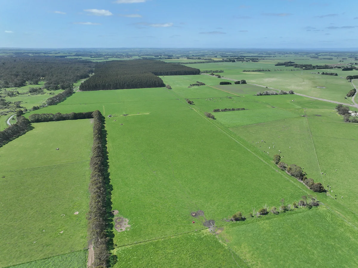 Additional image 12 of 260 Swan Marsh-Stonyford Road, Pirron Yallock VIC 3249