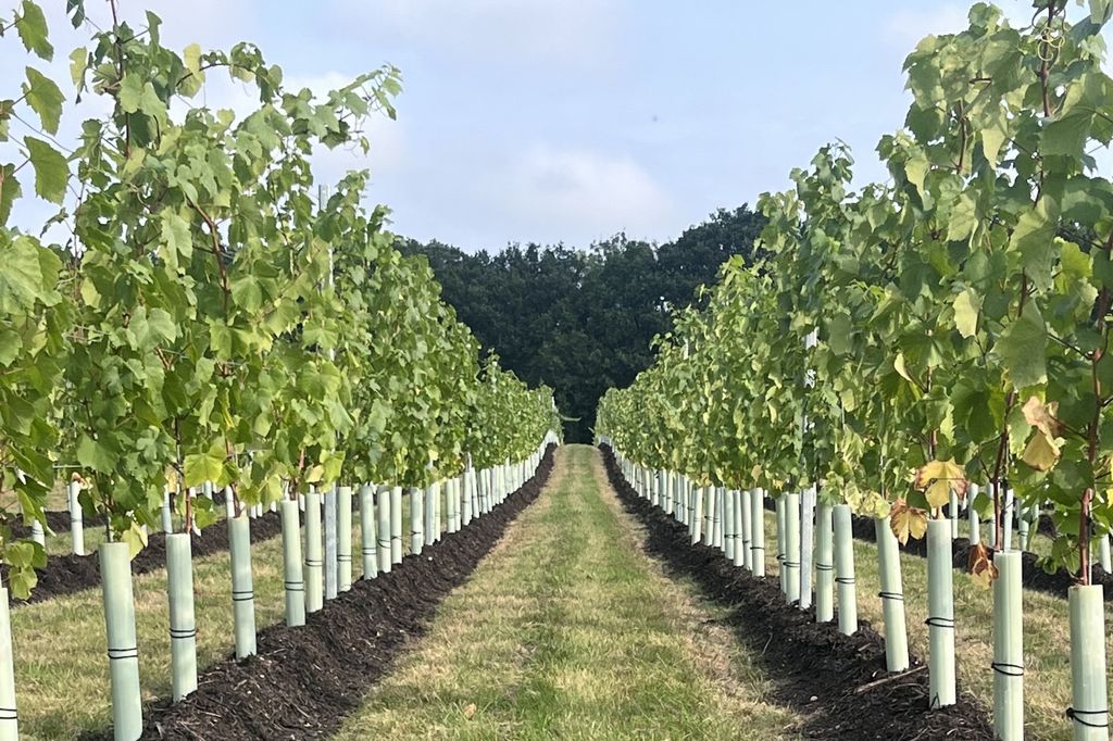 Additional image 28 of 6 bed detached house for saleHome Farm, Kemnal Road, Chislehurst, Kent BR7