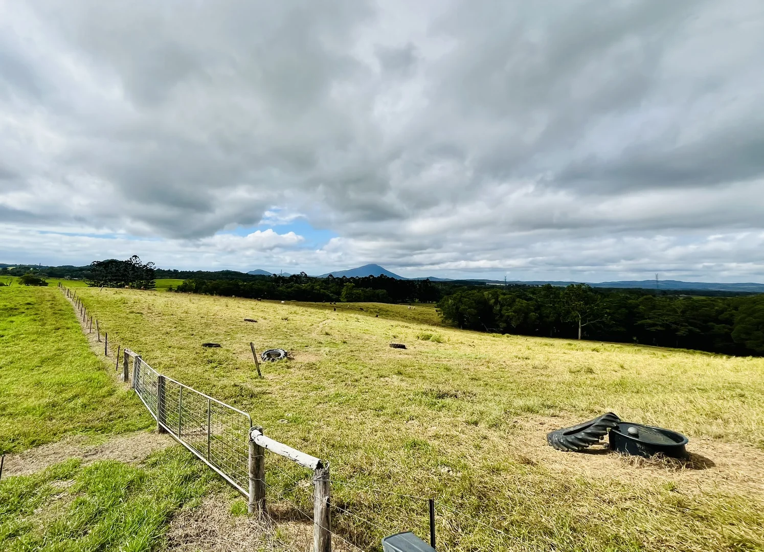 Additional image 43 of 1297 Mossman - Mt Molloy Rd, Julatten QLD 4871