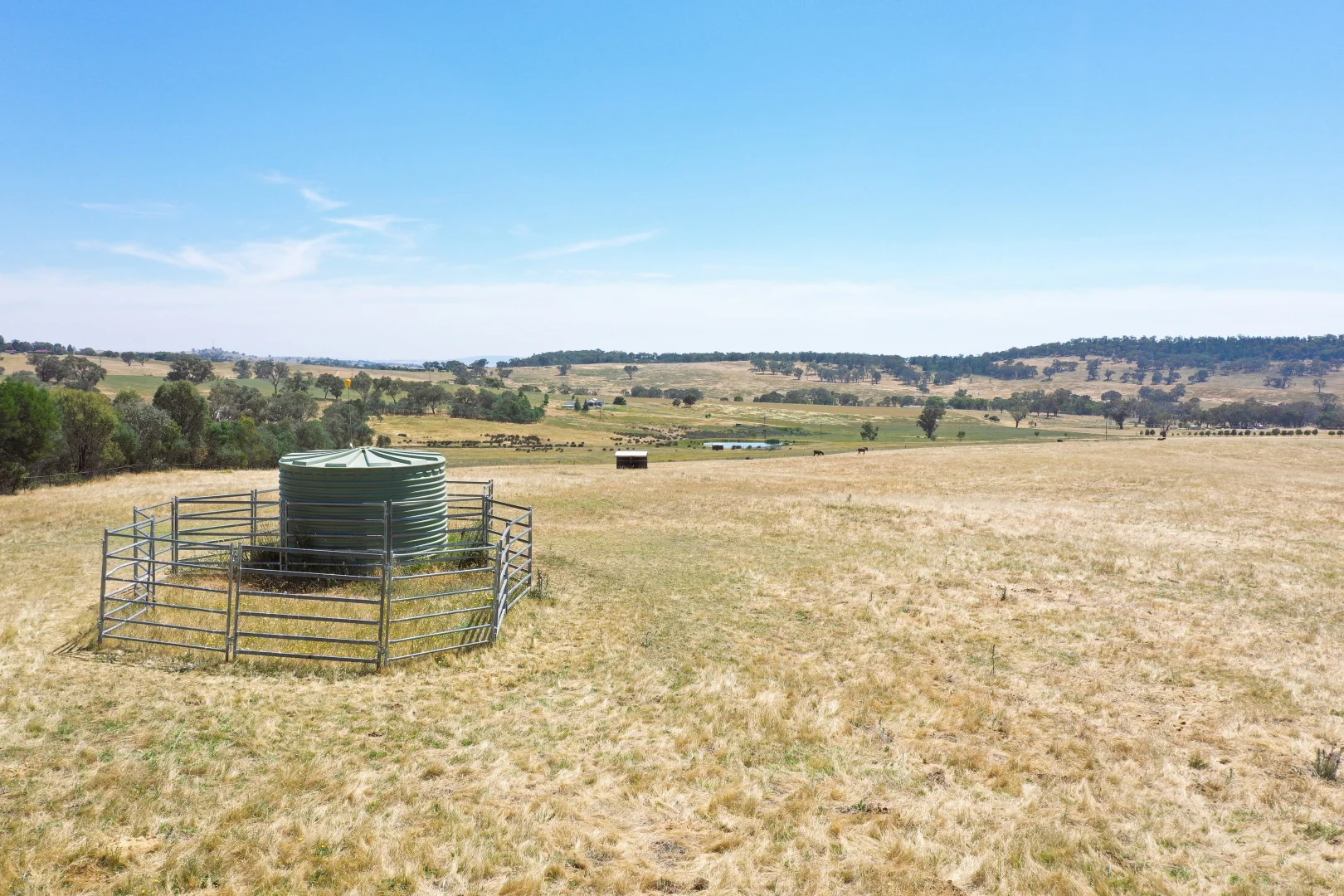 Additional image 4 of 195 Wambanumba Drive, Young NSW 2594