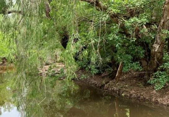 Additional image 7 of Acacia Hills NT 0822