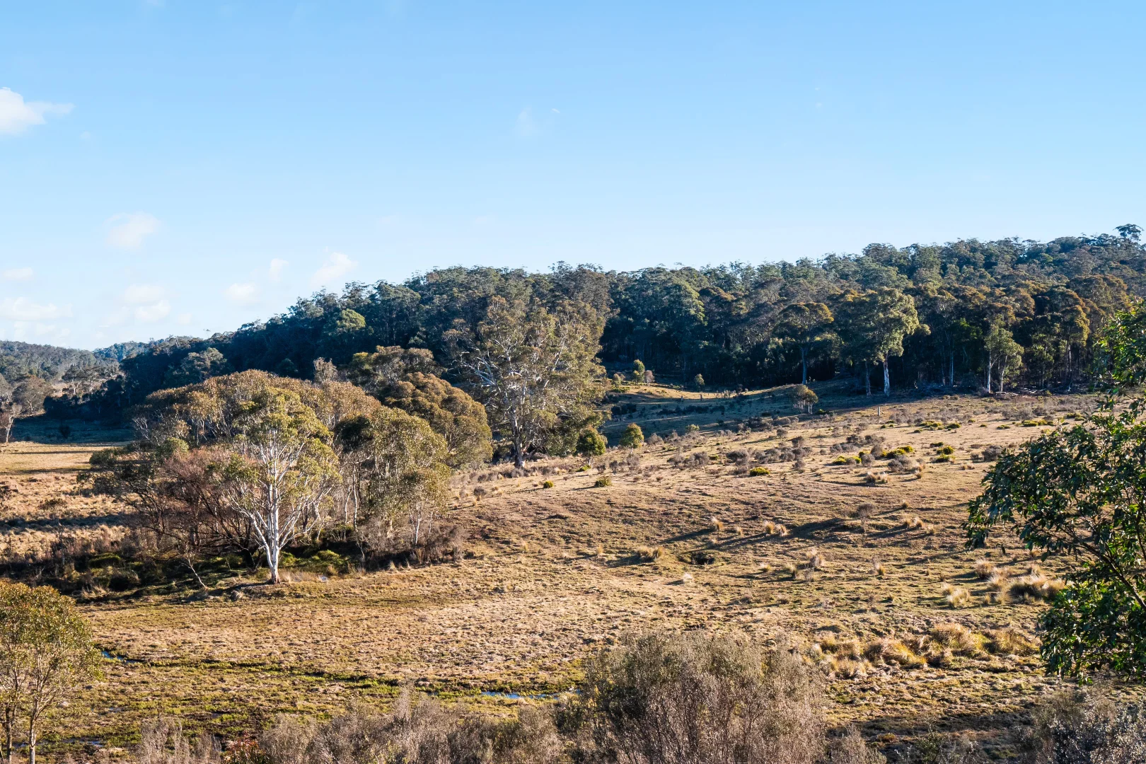 Additional image 33 of 1974 Tuross Road, Kybeyan NSW 2631
