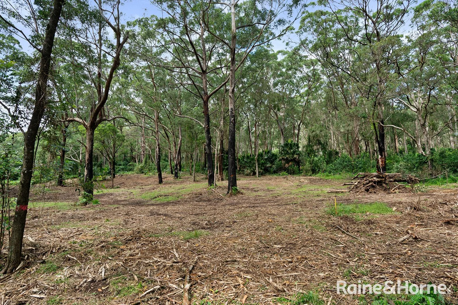Additional image 13 of Lot 1 Selbys Road, Budgong NSW 2577