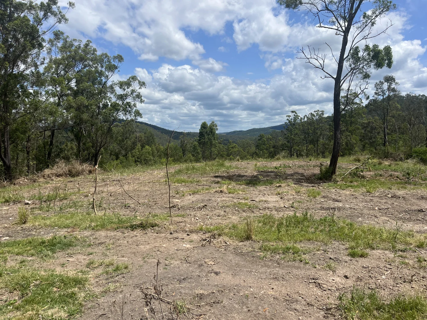 Additional image 7 of Nowendoc Road, Caffreys Flat NSW 2424