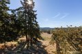 Additional image 4 of 327 Twin Oaks Dr, Friday Harbor, WA, 98250