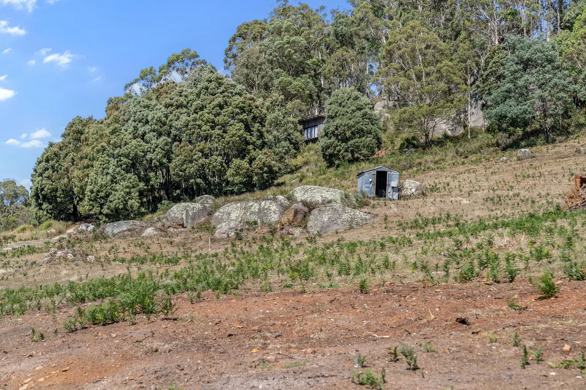 Additional image 14 of 3 Renison Street, Derby TAS 7264