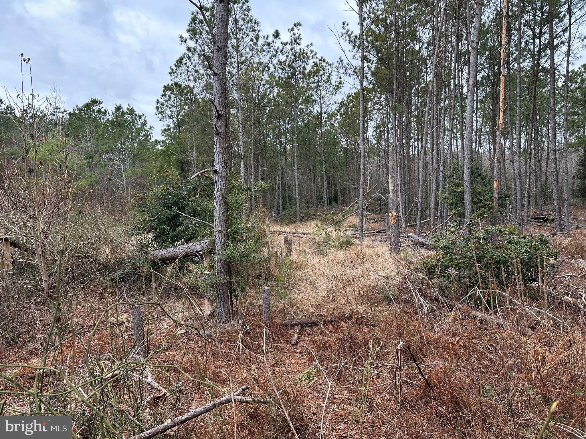 Additional image 21 of Owens Road, Greenwood, DE 19950