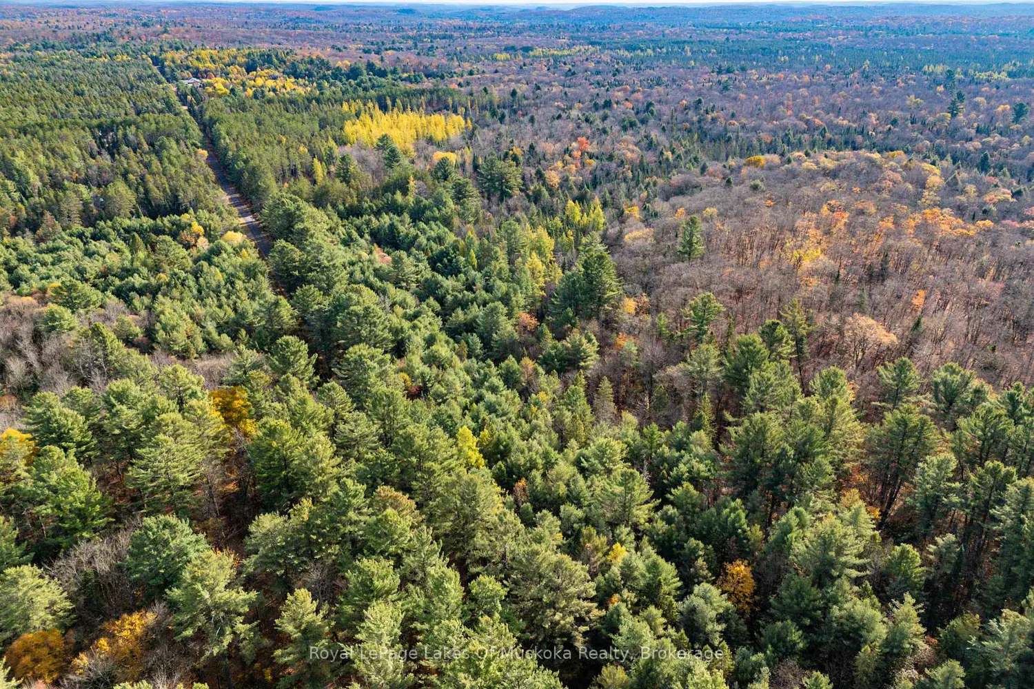 Additional image 4 of 267 & 321 Cardwell Lake Road