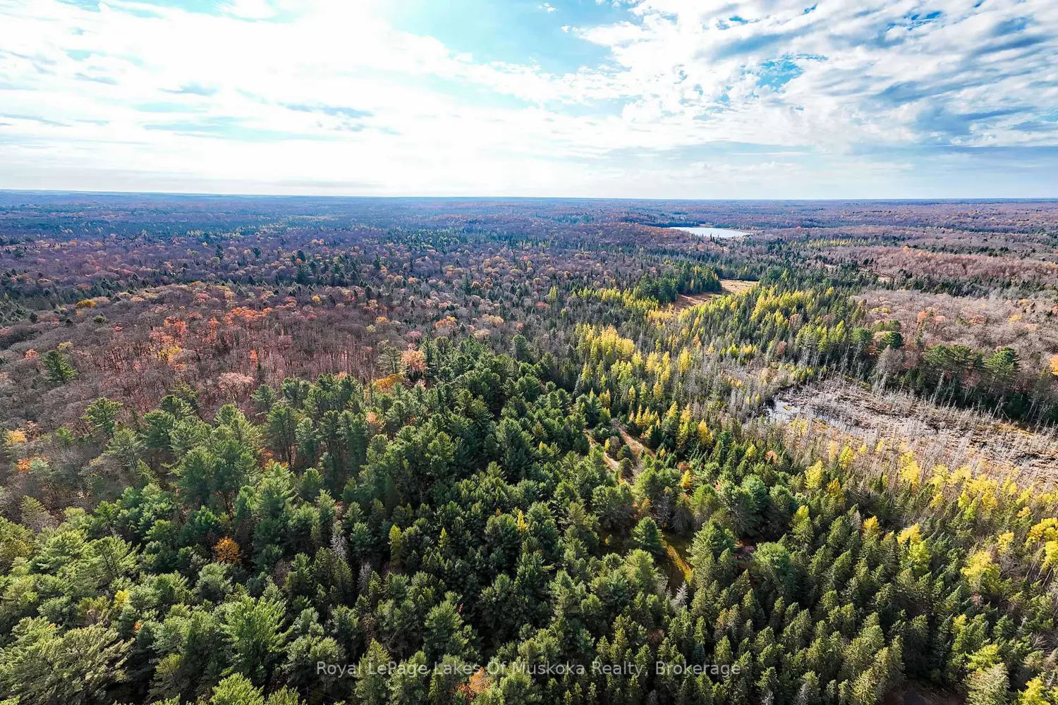 Additional image 3 of 267 & 321 Cardwell Lake Road