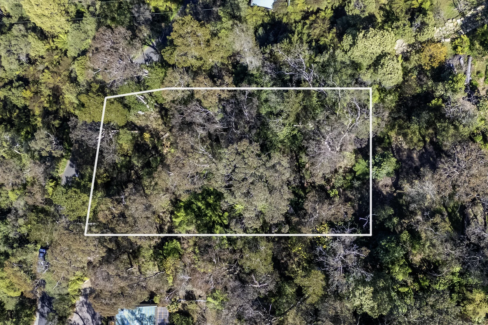 Additional image 5 of 53-55 Dell Street, Blackheath NSW 2785