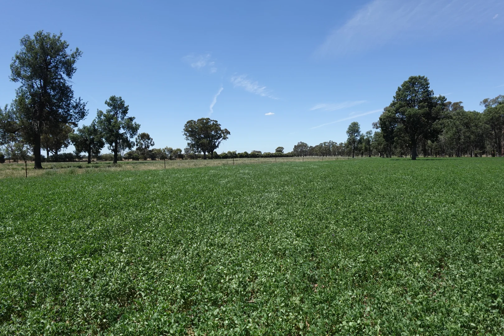Additional image 18 of 140 Waggarandall Road, Yundool VIC 3727