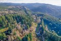 Additional image 9 of 110 Lenora Ln, Kelso, WA, 98626