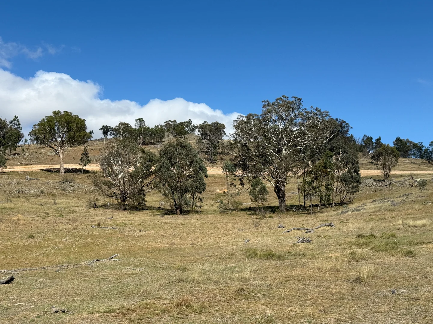 Additional image 4 of 1690 Cooks Hill Road, Yass NSW 2582