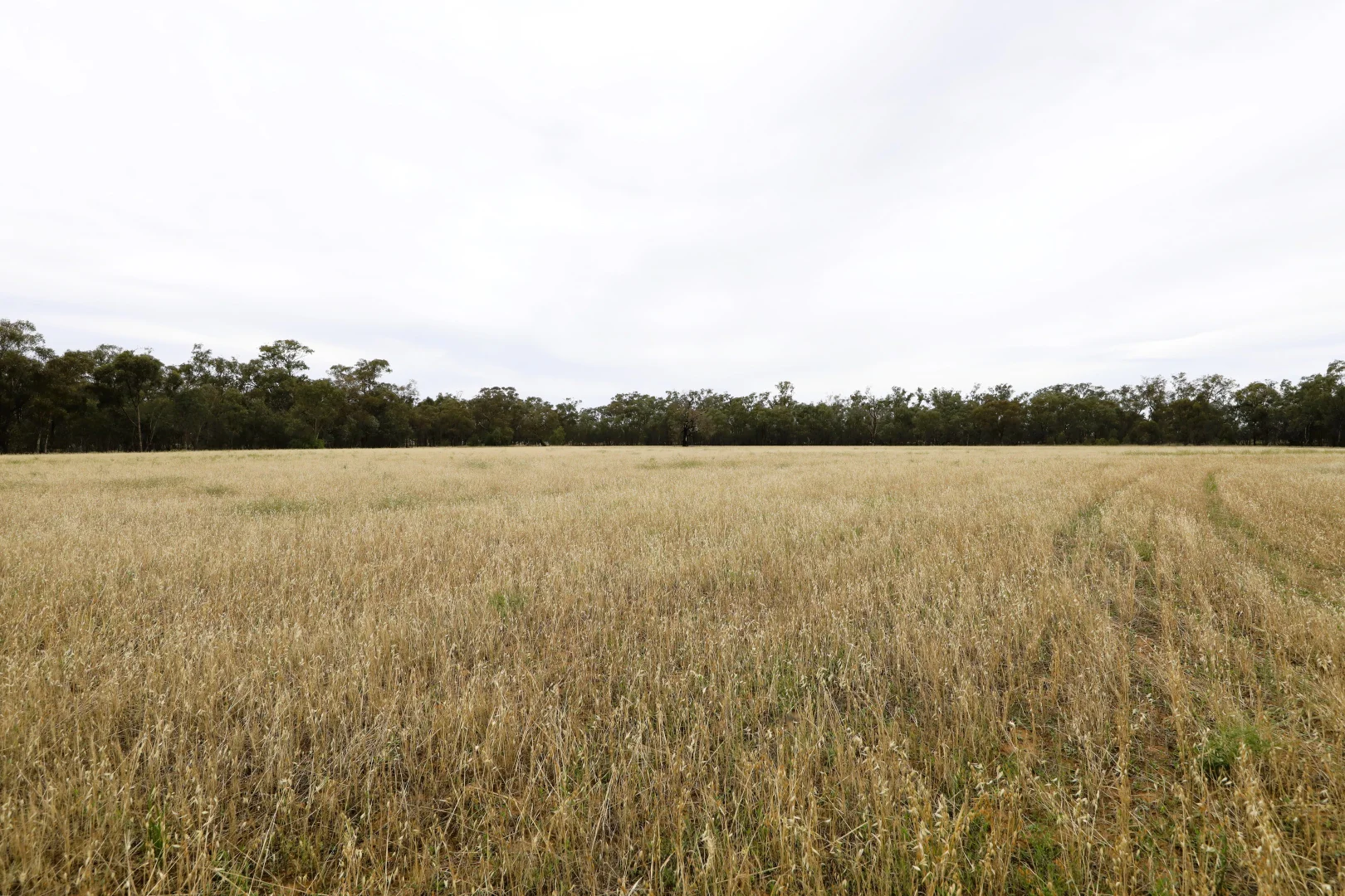 Additional image 5 of 83 Gribben Road, Invergordon VIC 3636