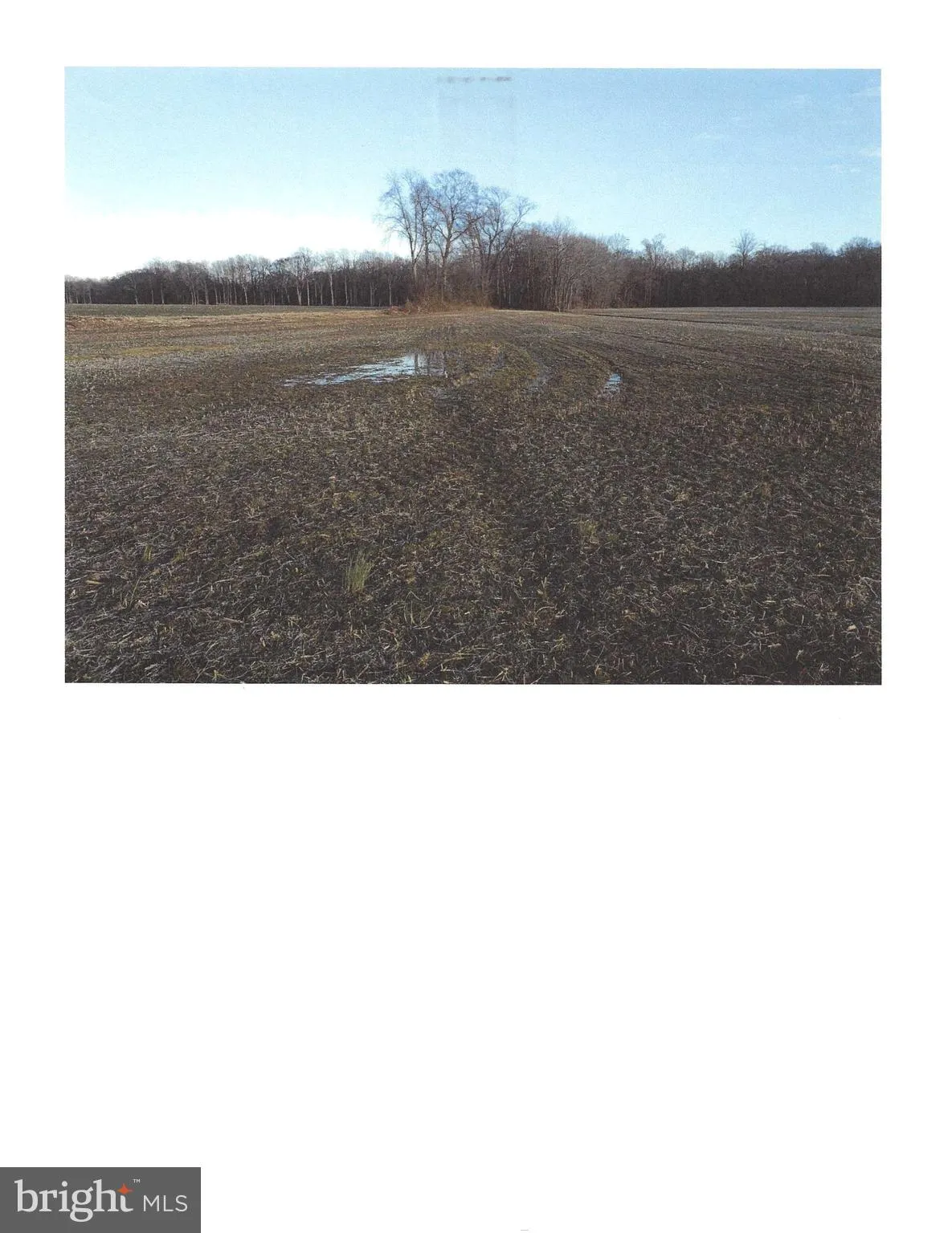 Additional image 8 of 1389 Cedar Grove Church Road, Felton, DE 19943