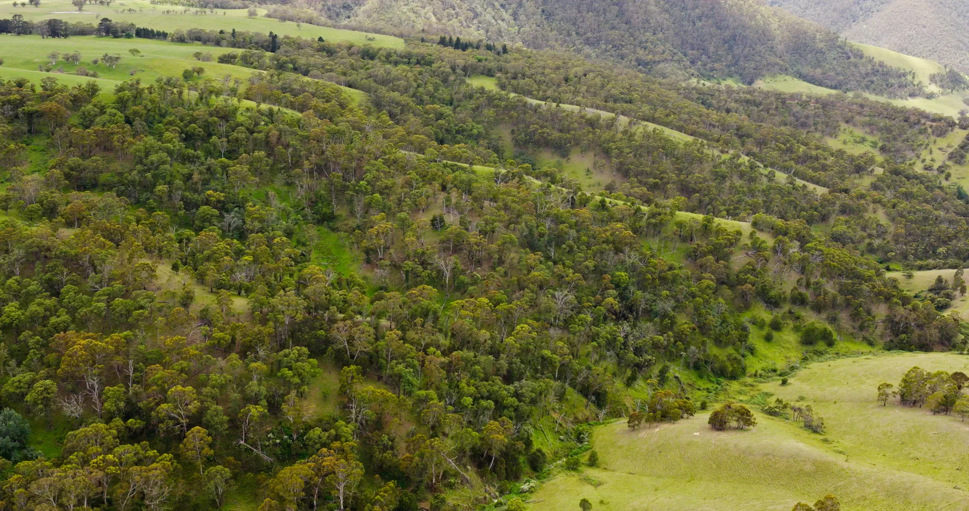 Additional image 14 of Lot 2 - 289 Tongio Gap Road, Tongio VIC 3896