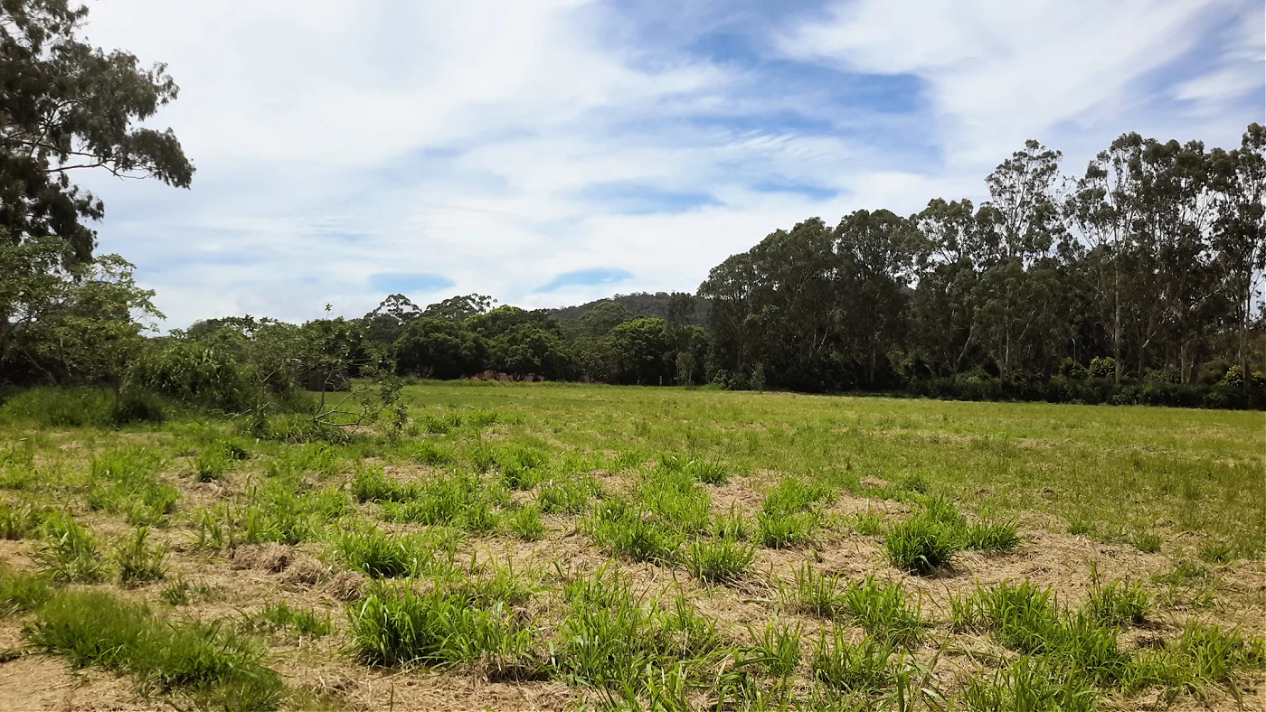 Additional image 6 of LOT 12 Carrick St, Ravenshoe QLD 4888