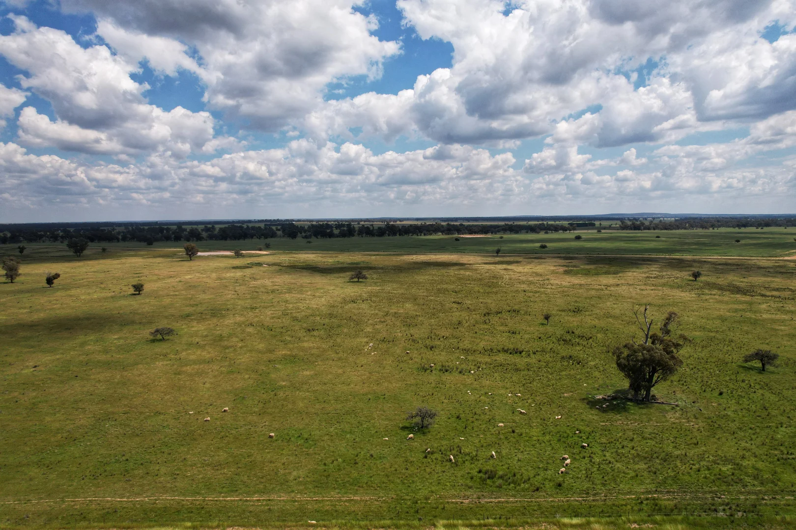 Additional image 11 of Part Rosewood Taweni Road, Peak Hill NSW 2869