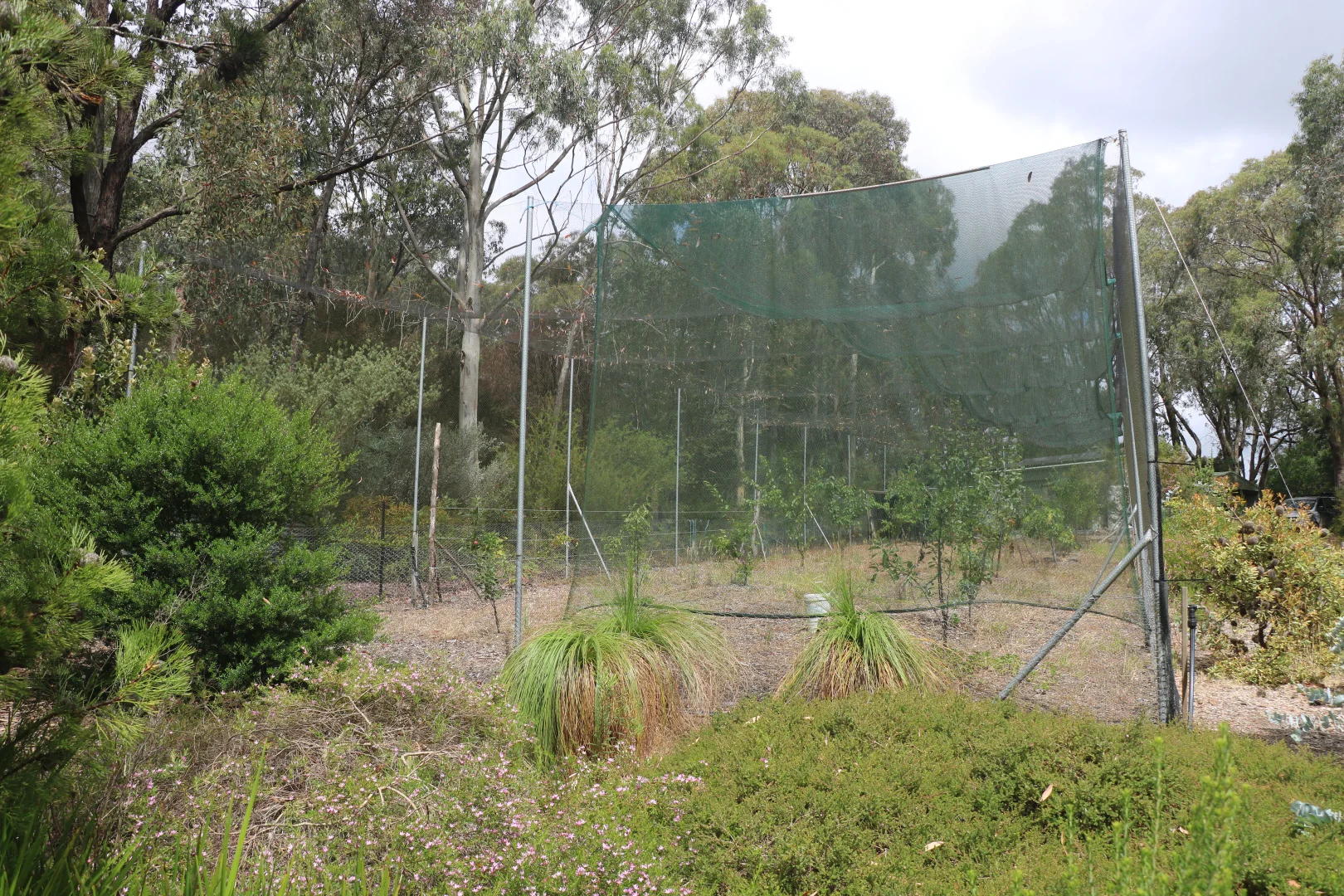 Additional image 27 of 65 Gardiners Road, Barongarook VIC 3249