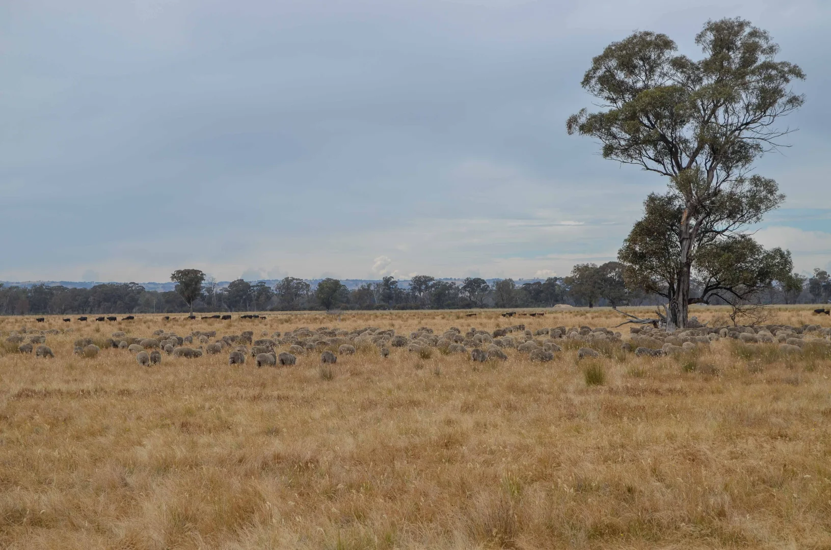 Additional image 7 of 2253 Dargalong Road, Nagambie VIC 3608