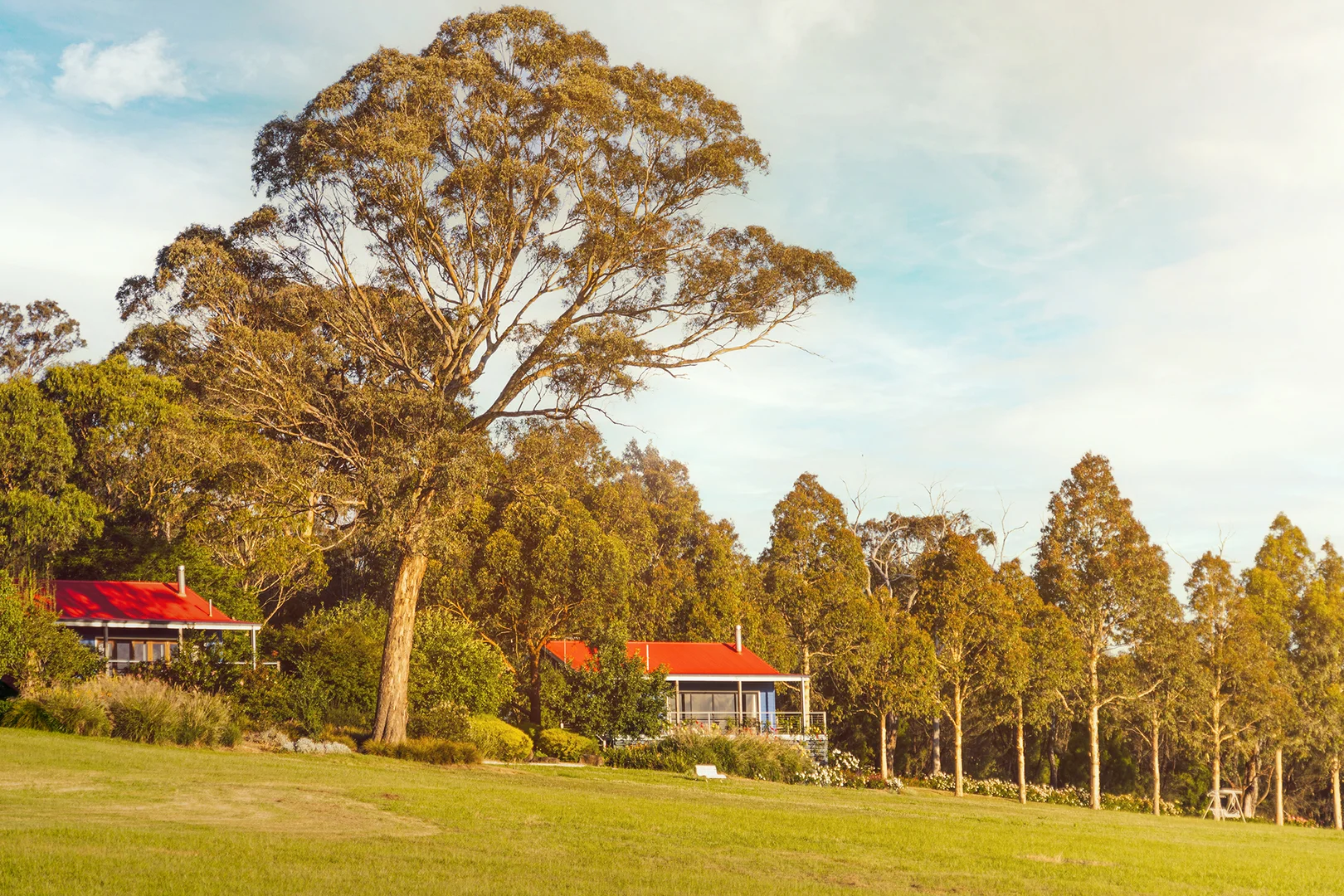 97 School Lane, Tarrawarra VIC 3775 photo 5