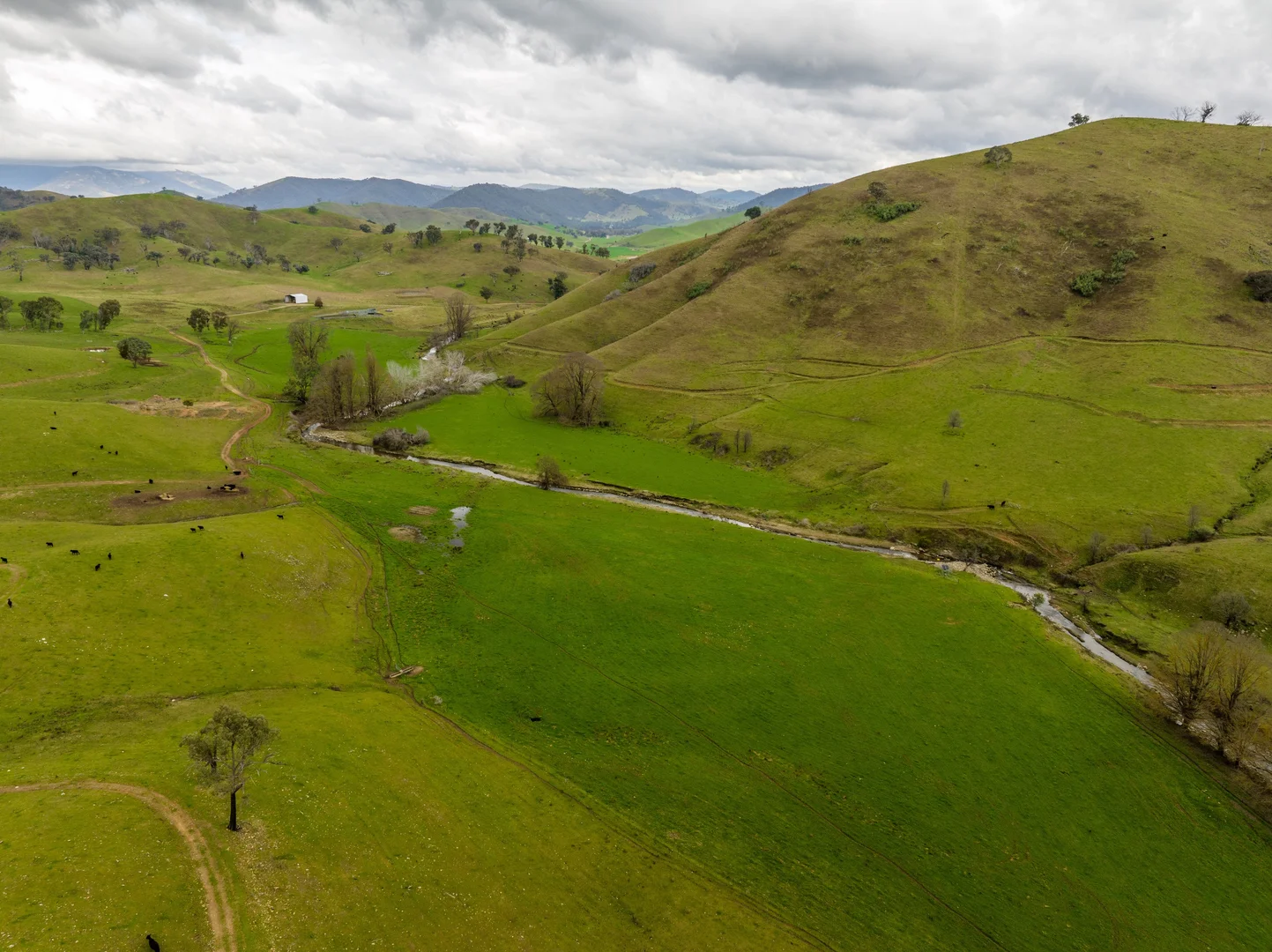 Additional image 6 of 'Rockview' 400 Horse Creek Road, Jingellic NSW 2642