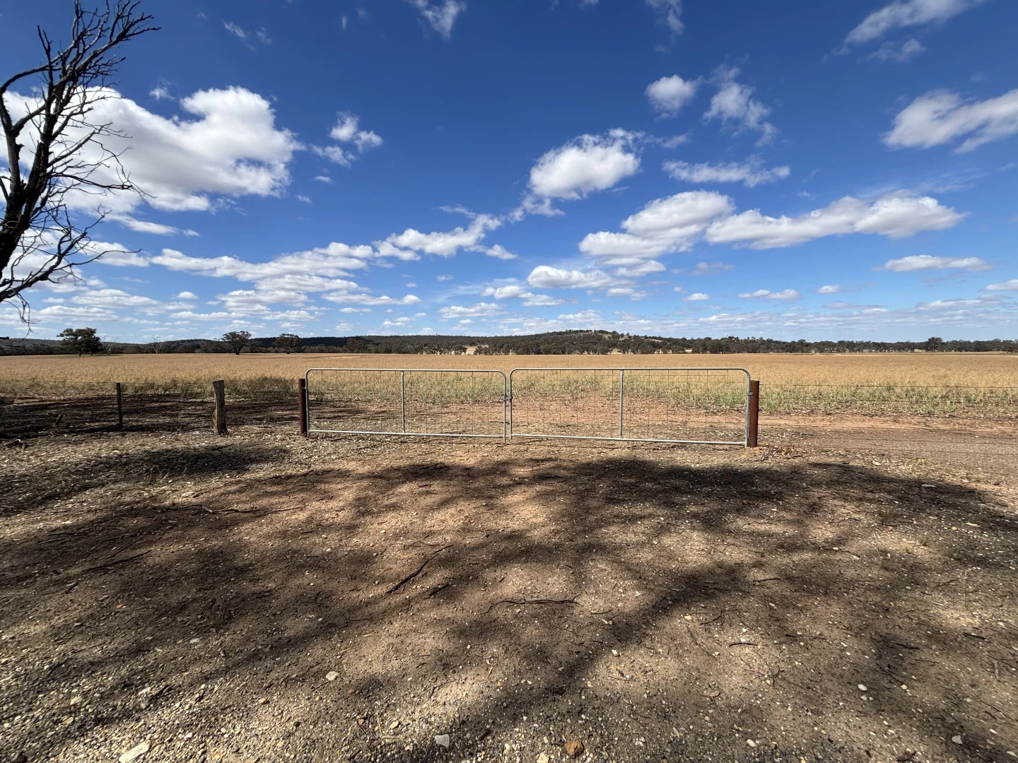 Additional image 12 of 649 Dunolly-Avoca Road, Mount Hooghly VIC 3472