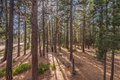 Additional image 27 of 6980 Toyon Rd, Tahoe Vista, CA, 96148