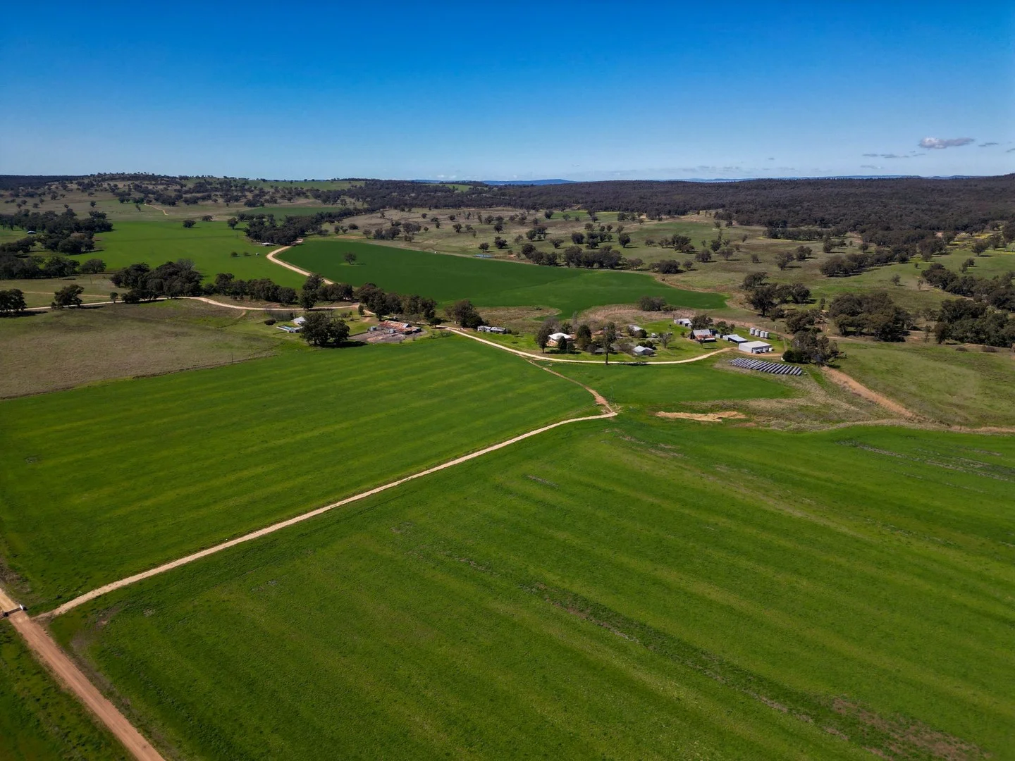 1799 Digilah Road, Dunedoo NSW 2844