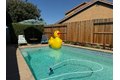 Additional image 31 of 954 Avenida Real, Ceres, CA, 95307