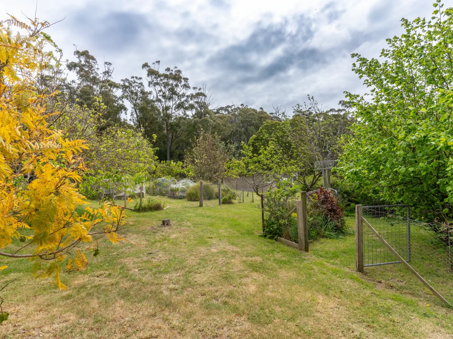 Additional image 26 of 25598 Tasman Highway, St Helens TAS 7216
