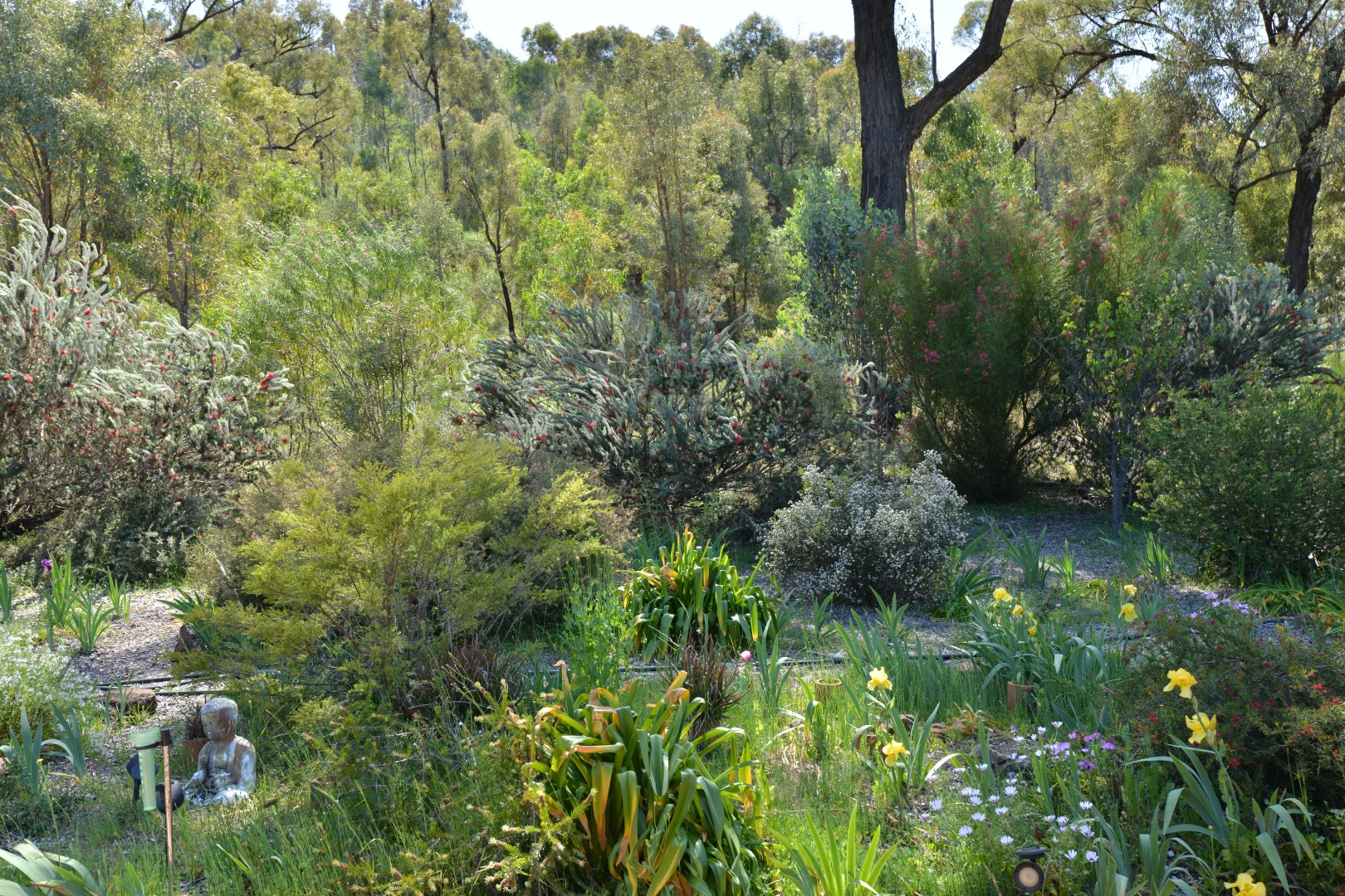 Additional image 18 of 20 Kurrajong Road, Coonabarabran NSW 2357