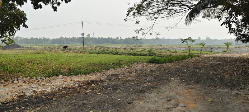 Additional image 3 of Amtala, Kolkata