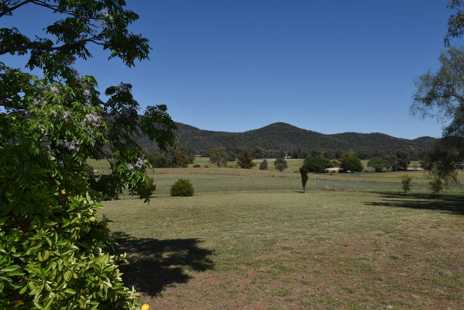 Additional image 35 of 7 Pindari Grove, Montefiores NSW 2820