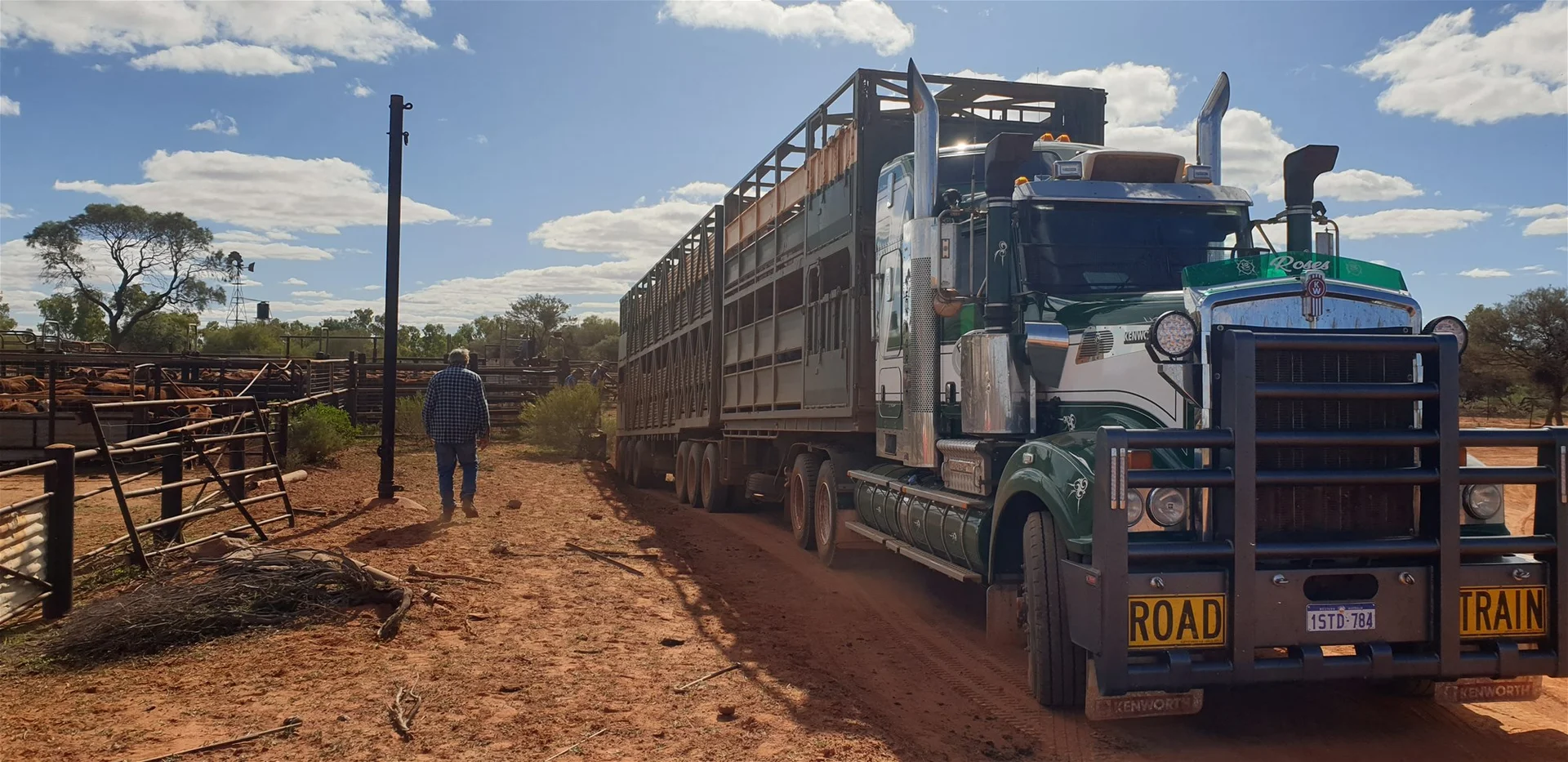 Additional image 13 of Yoothapina Station, Meekatharra WA 6642